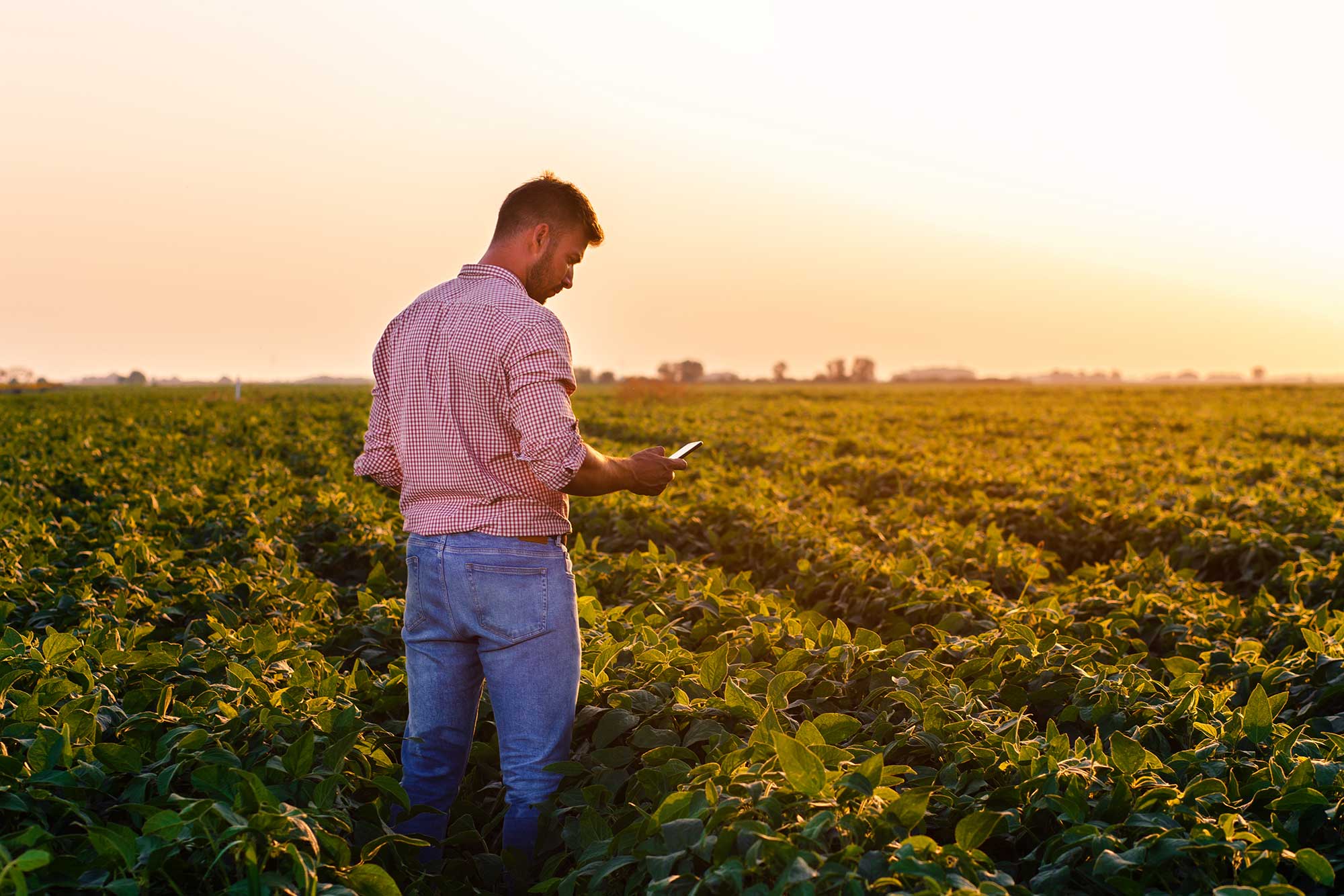 Farmers and Ranchers Services | American Federal Investments