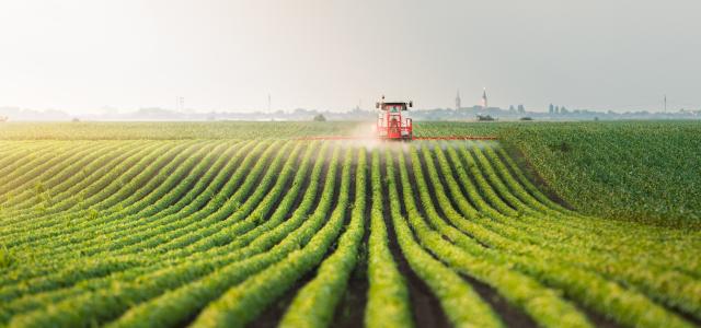 Cropping Field